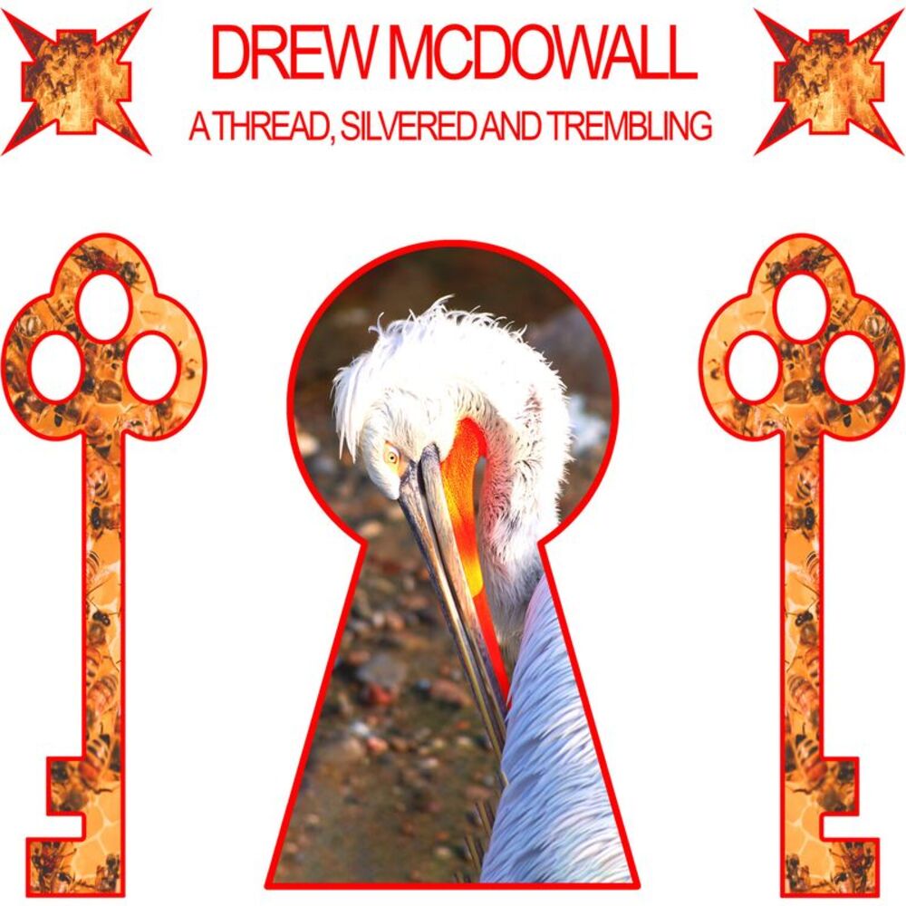 Drew McDowall - A Thread, Silvered and Trembling  LP LP
